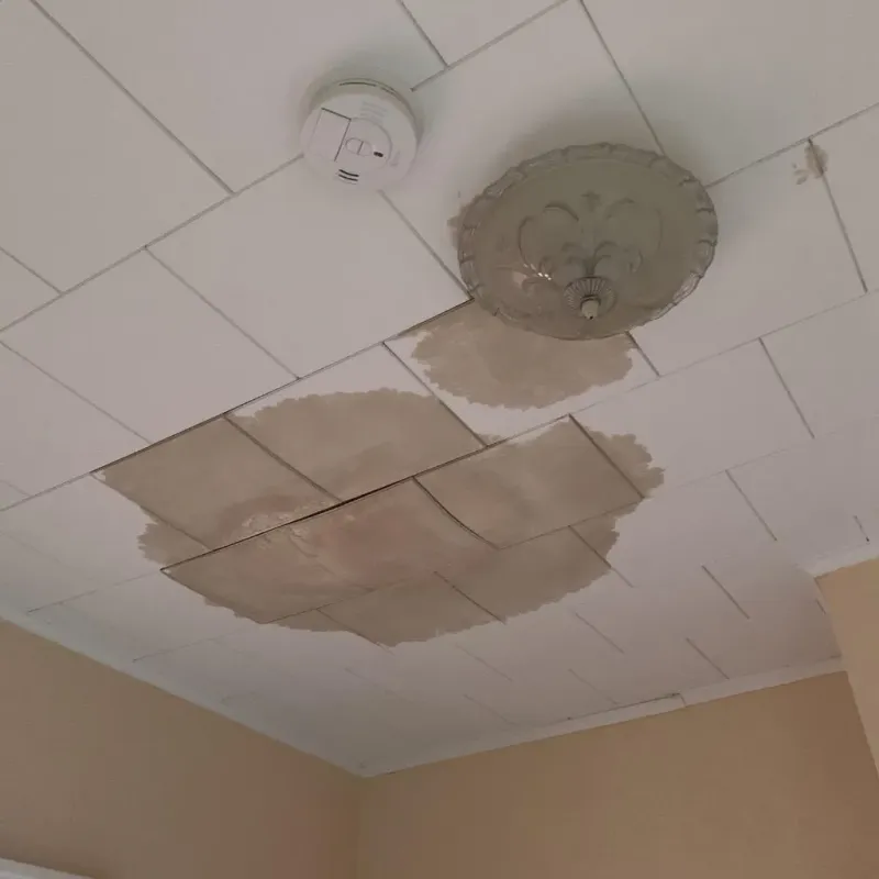 Ceiling Water Damage Repair in Morrow County, OH
