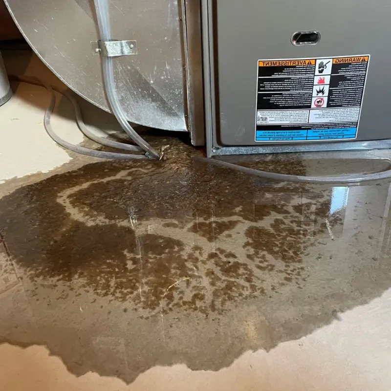 Pipe Burst and Leak Restoration in Morrow County, OH