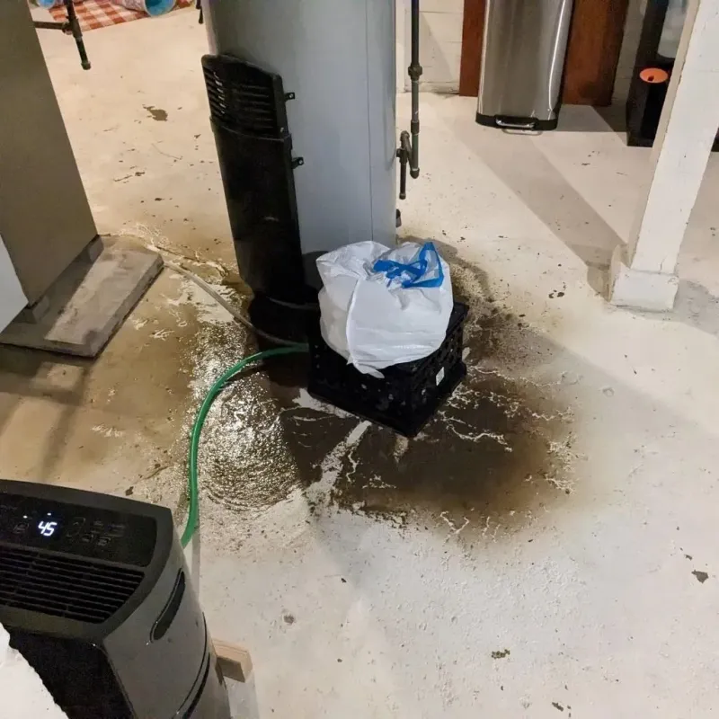 Sewage Backup Cleanup Service in Morrow County, OH